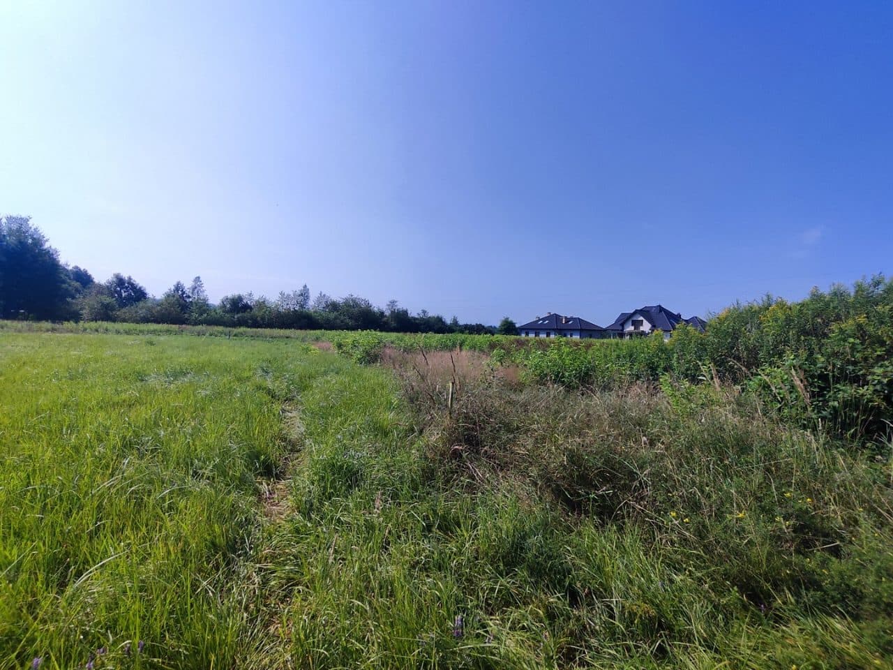 Udziały w działkach niezabudowanych położonych w Przegini Narodowej, gm. Czernichów przy ul. Św. Weroniki, dla których są założone KW nr KR1K/00009691/3, KR1K/00029022/9, KR1K/00029025/0 – zdjęcie 4 z 4
