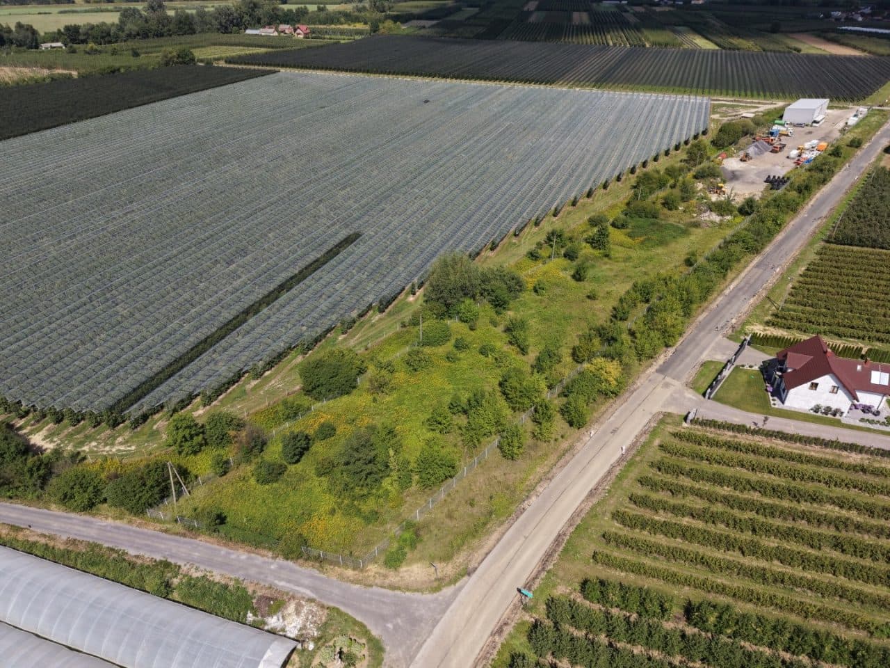 prawo użytkowania wieczystego nieruchomości, dz. nr 82/4 o pow. 0,4365 ha położona Wilków Kolonia gm. Wilków – zdjęcie 2 z 3