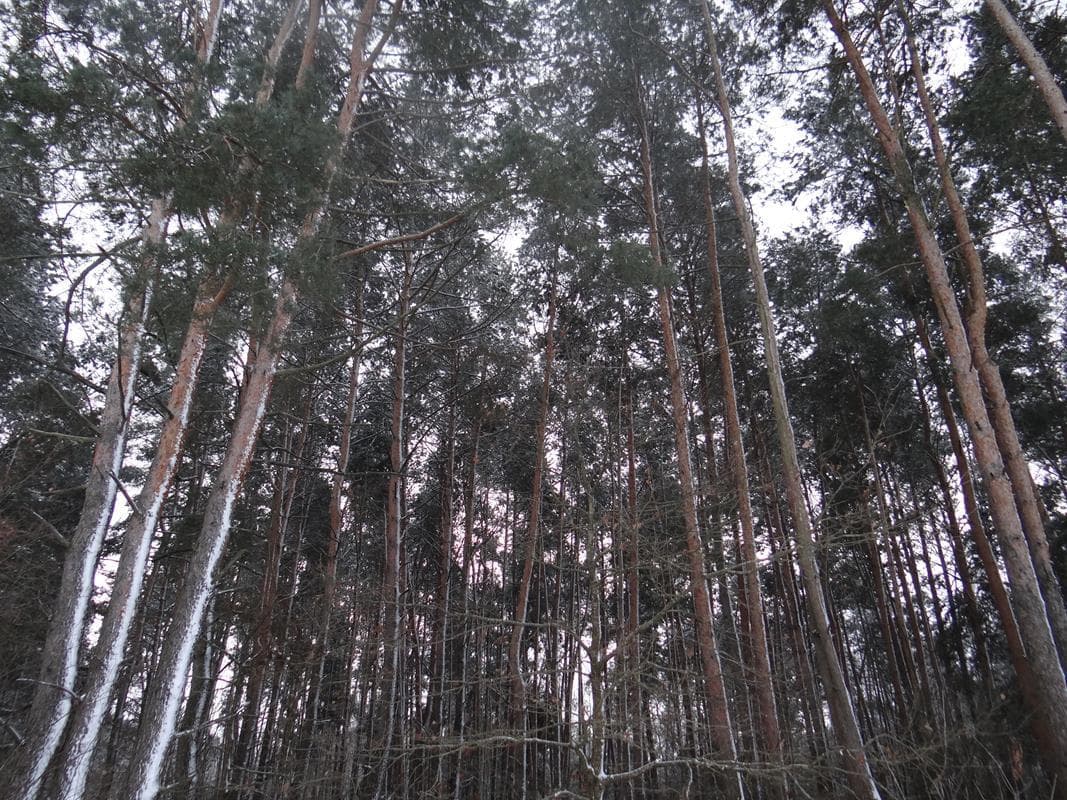 nieruchomość – zdjęcie 2 z 3