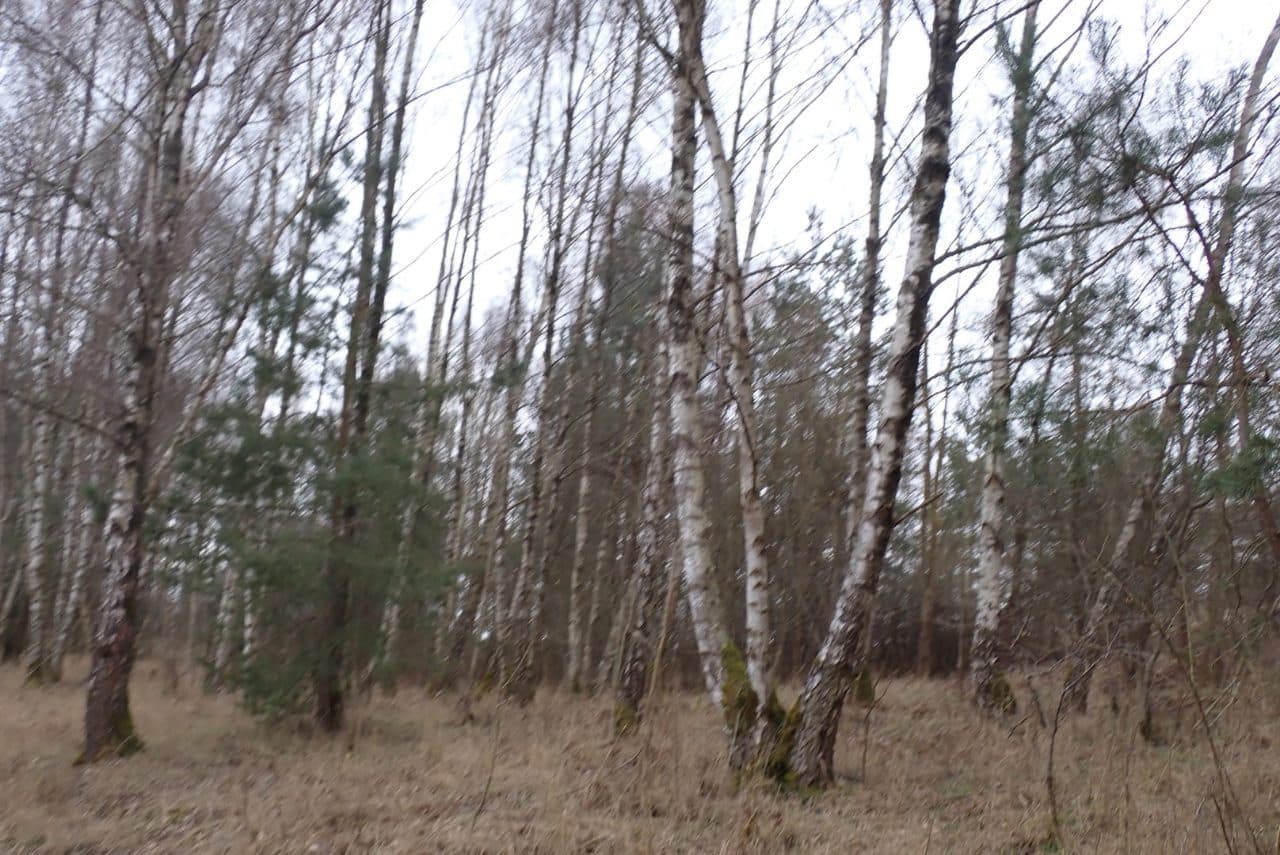Grunty orne, o pow. łącznej 13,4779 ha, położonej w miejscowości: Żeńsko, KW Nr SZ1C/00034924/7.