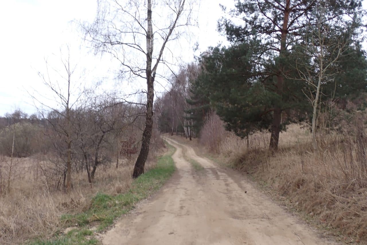 Grunty orne, o pow. łącznej 13,4779 ha, położonej w miejscowości: Żeńsko, KW Nr SZ1C/00034924/7. – zdjęcie 2 z 5