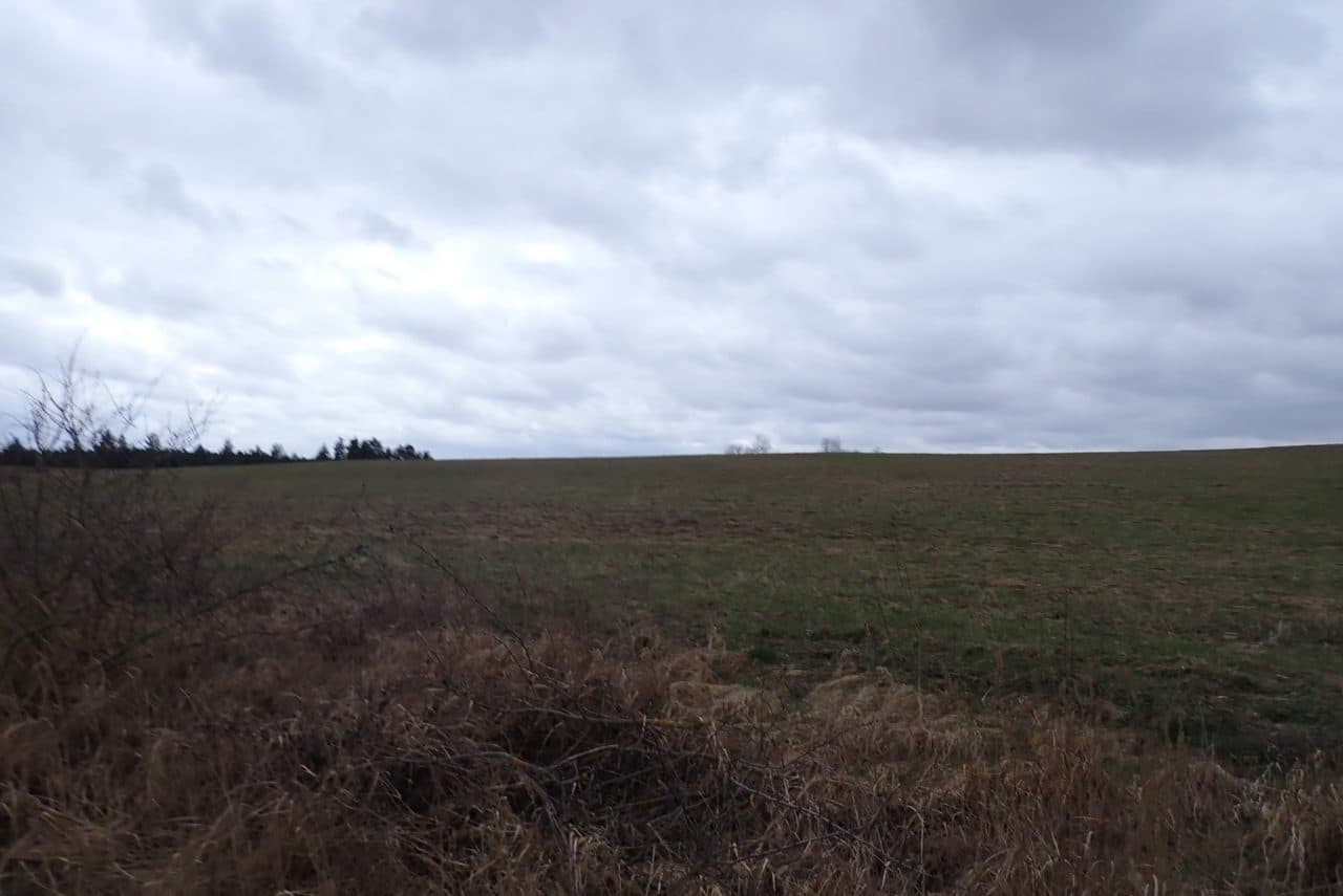 Grunty orne, o pow. łącznej 13,4779 ha, położonej w miejscowości: Żeńsko, KW Nr SZ1C/00034924/7. – zdjęcie 4 z 5