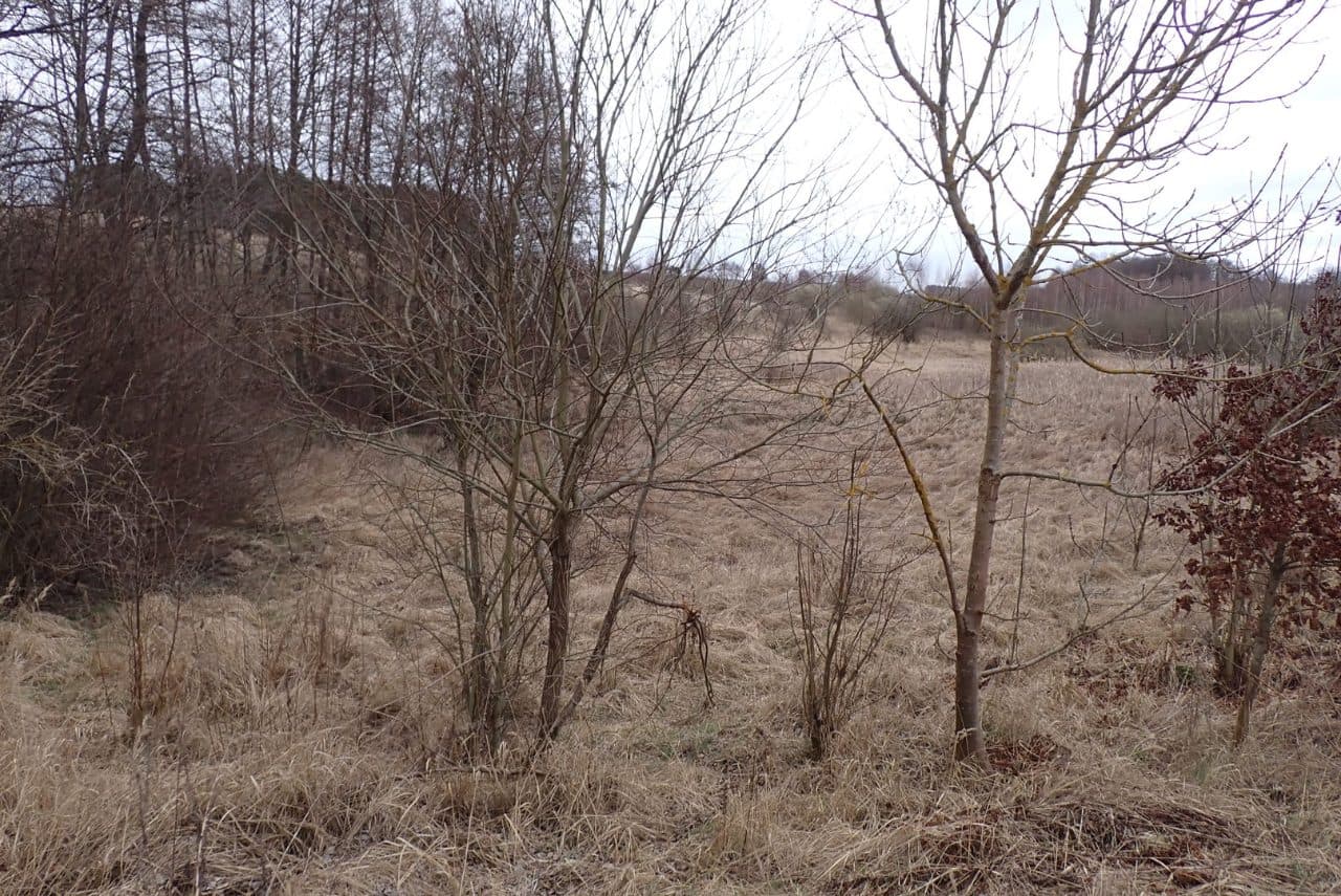 Grunty orne, o pow. łącznej 13,4779 ha, położonej w miejscowości: Żeńsko, KW Nr SZ1C/00034924/7. – zdjęcie 5 z 5