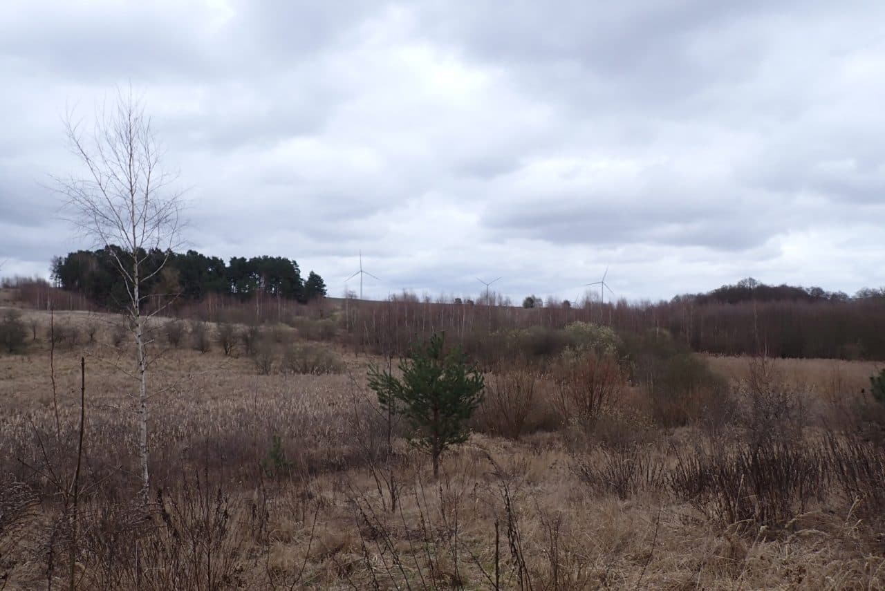 Grunty orne, o pow. łącznej 36,9877 ha, położonej w miejscowości: Żeńsko, KW Nr SZ1C/00034923/0 – zdjęcie 2 z 5