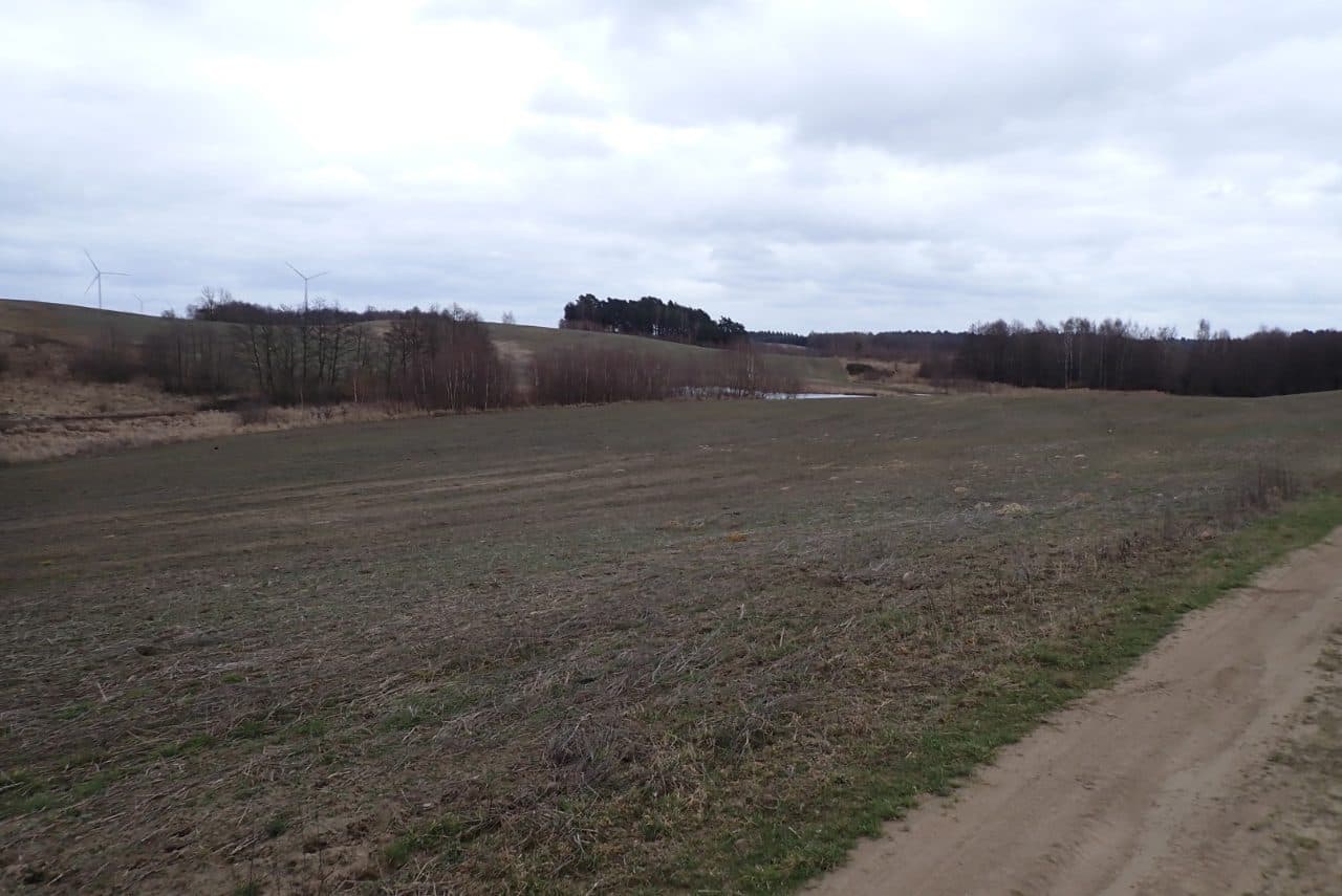 Grunty orne, o pow. łącznej 36,9877 ha, położonej w miejscowości: Żeńsko, KW Nr SZ1C/00034923/0 – zdjęcie 4 z 5
