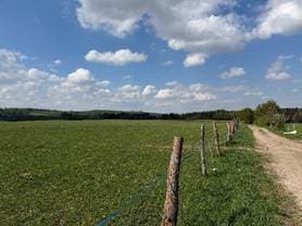 działki ewidencyjne nr 578, 340, 514, 350 oraz 50/2