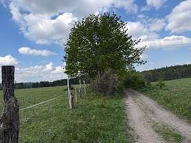 działki ewidencyjne nr 578, 340, 514, 350 oraz 50/2 – zdjęcie 3 z 8
