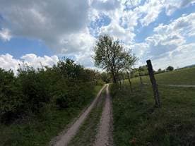 działki ewidencyjne nr 578, 340, 514, 350 oraz 50/2 – zdjęcie 5 z 8