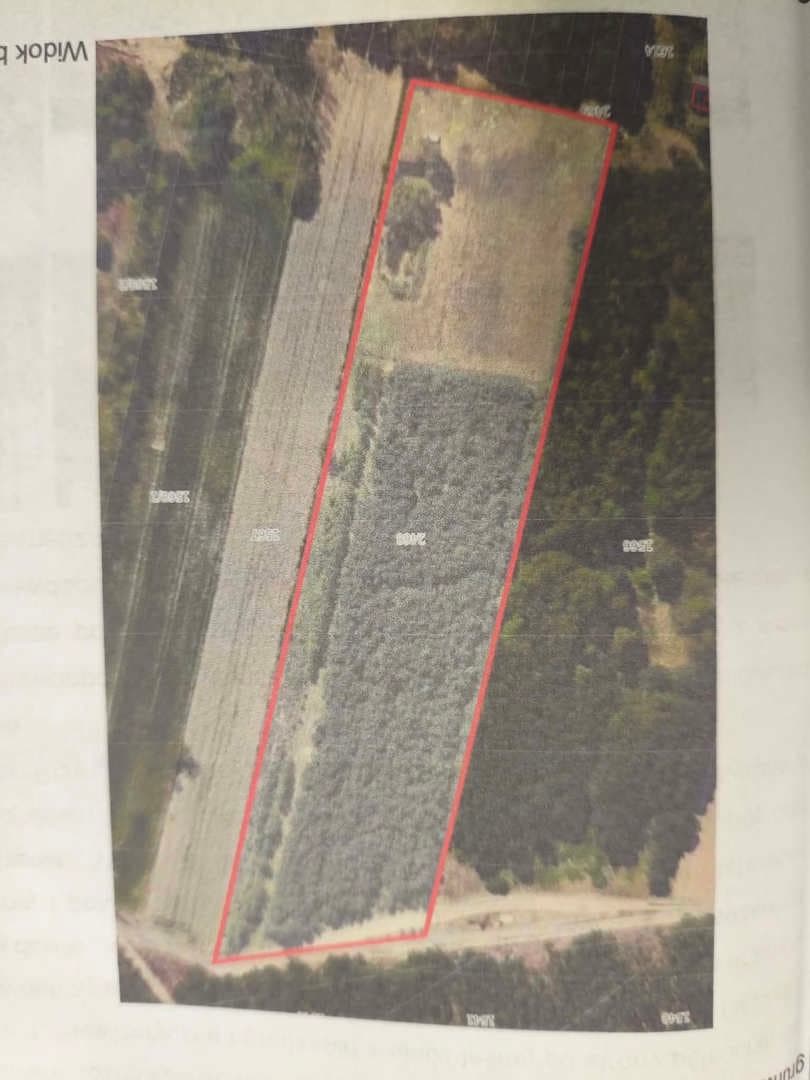 nieruchomość dz. 2468 o pow. 1,38 ha – zdjęcie 4 z 6