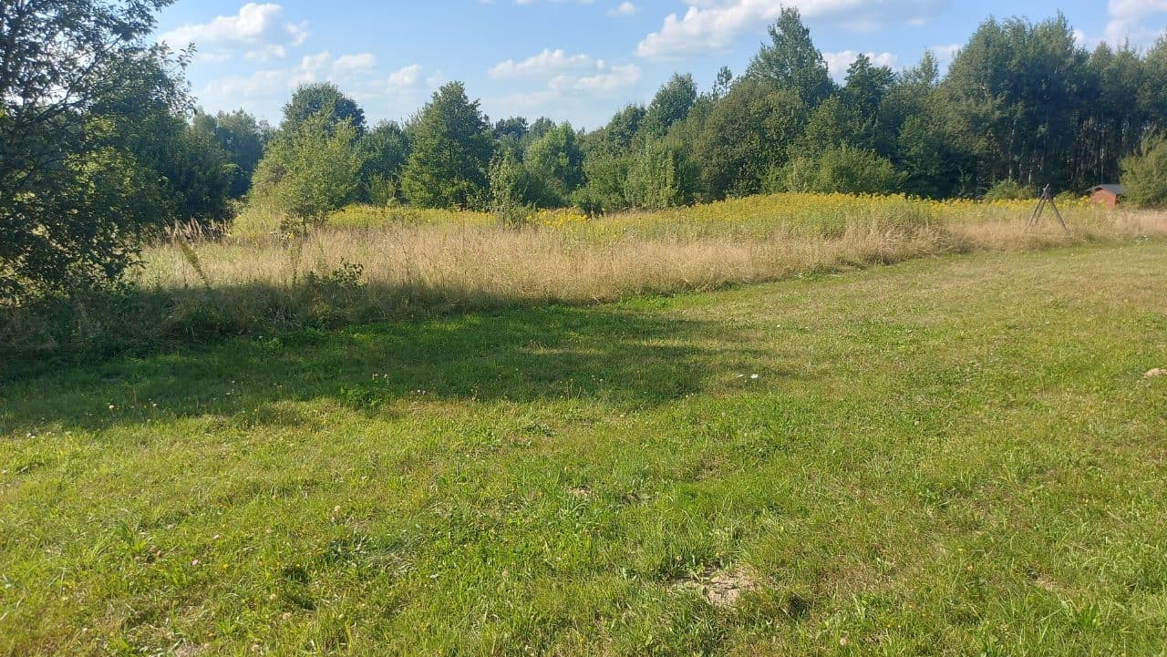 działka pow. 0,3368 ha