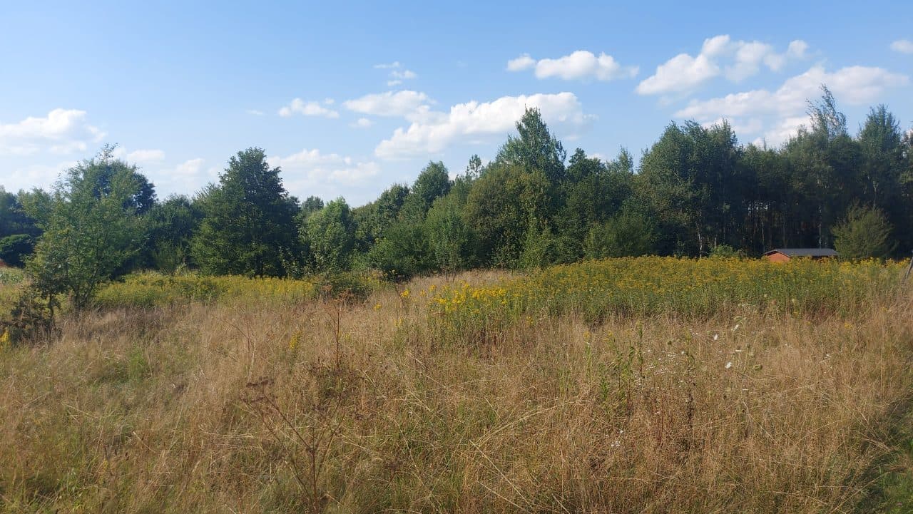 działka pow. 0,3368 ha – zdjęcie 2 z 5