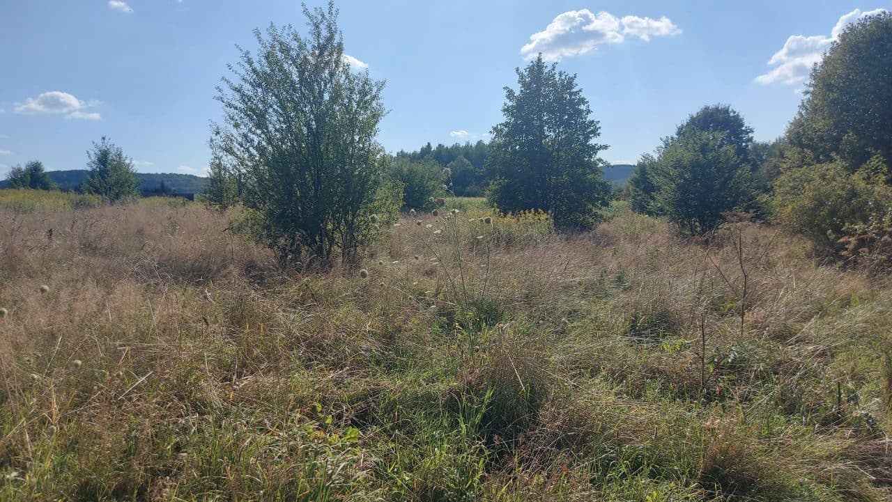 działka pow. 0,3368 ha – zdjęcie 5 z 5