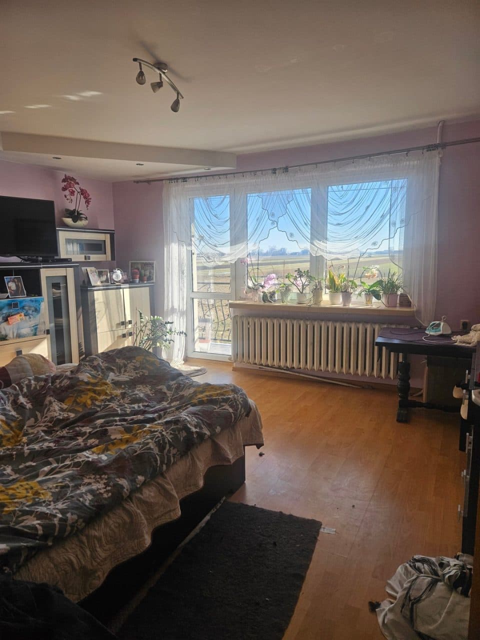 zabudowana nieruchomość rolna działka nr 305/1, położona w miejscowości: Sapy gmina Domaniewice, zapisana w KW o nr LD1O/00012549/3 - udział 2/6 w nieruchomości – zdjęcie 6 z 37