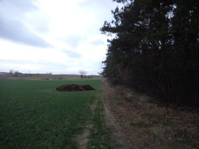 nieruchomość gruntowa – zdjęcie 25 z 25