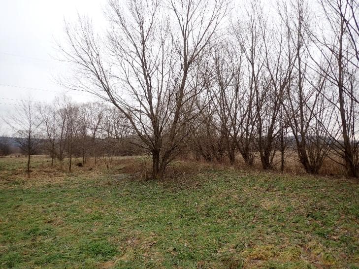 działka ew. nr 2608 – zdjęcie 2 z 4