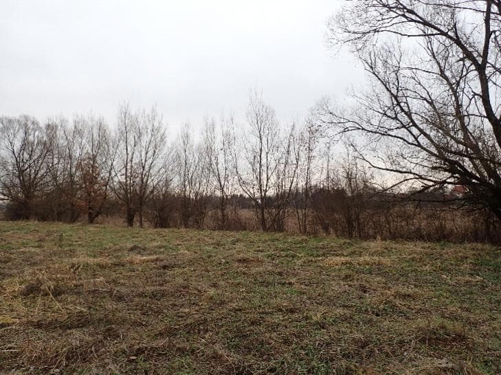działka ew. nr 2578