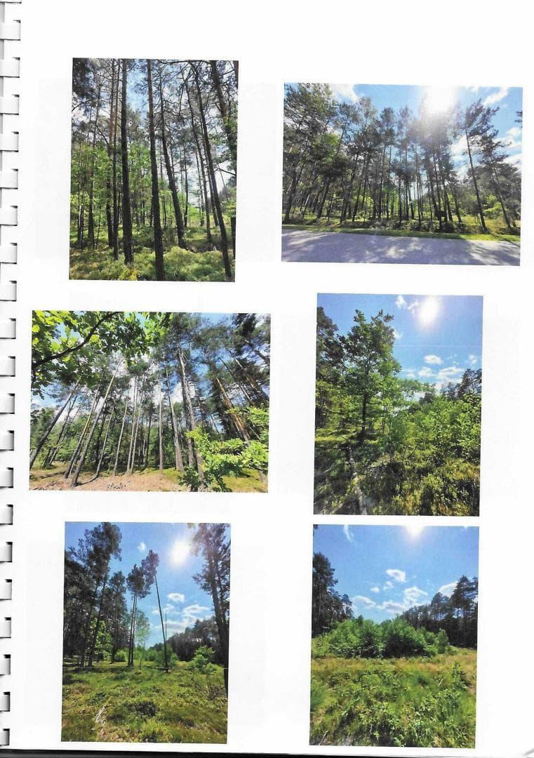 działka nr 2423 o pow. 0,8257 ha