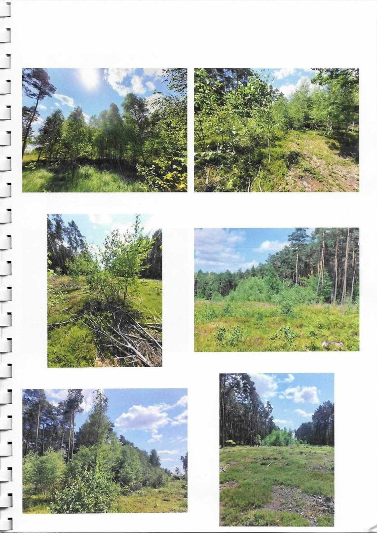 działka nr 2423 o pow. 0,8257 ha – zdjęcie 2 z 3
