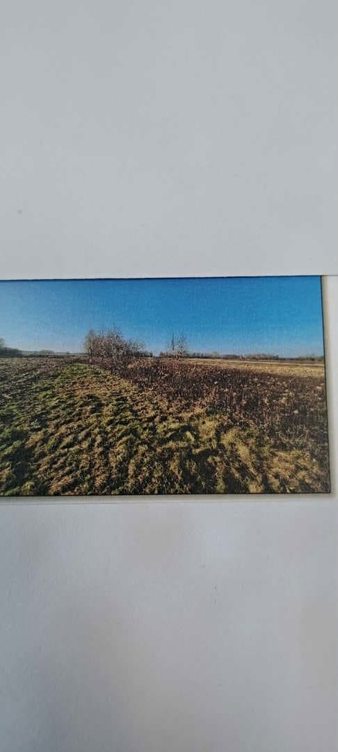 działki nr 131 (grunty orne), nr 132 (łąki trwałe), nr 130 (grunty rolne zabudowane) – zdjęcie 2 z 6