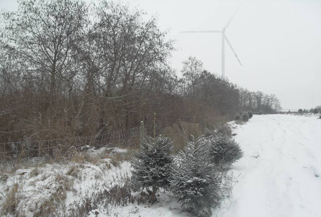 Działka nr 358/3 - lasy, o pow. łącznej 8,9246 ha, położonej wmiejscowości: Żeńsko, KW Nr SZ1C/00034905/8.
