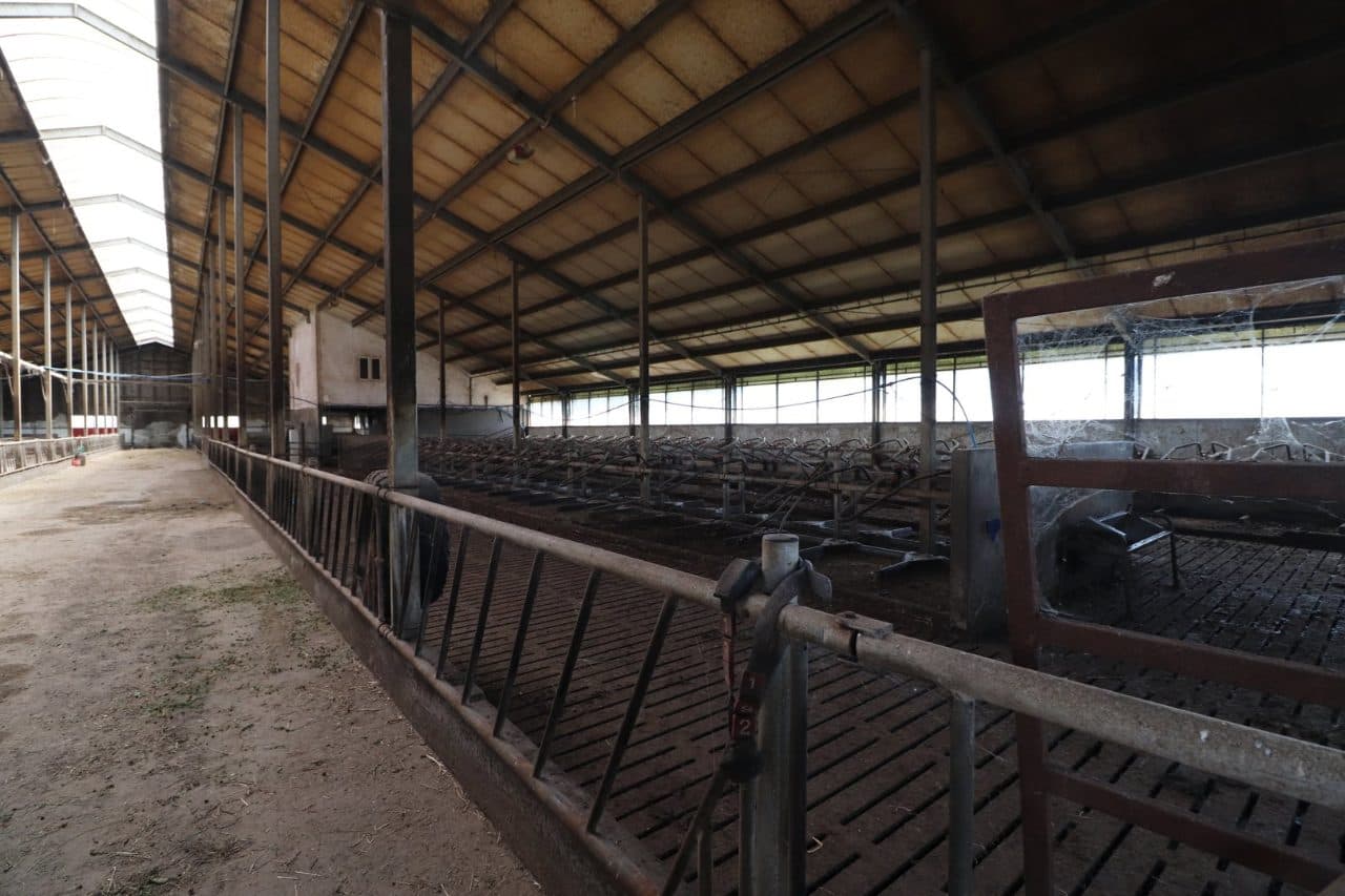 Zabudowana nieruchomość rolna położona w miejscowości: Emilianów, gmina Bielawy, działka nr 25, o pow. 2,45 ha, zapisana w Księdze Wieczystej Wydziału Ksiąg Wieczystych Sądu Rejonowego w Łowiczu pod nr KW LD1O/00006825/7 – zdjęcie 12 z 29