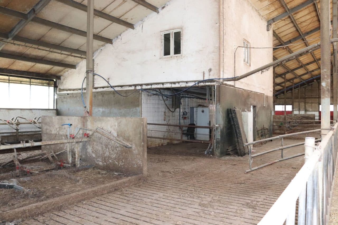 Zabudowana nieruchomość rolna położona w miejscowości: Emilianów, gmina Bielawy, działka nr 25, o pow. 2,45 ha, zapisana w Księdze Wieczystej Wydziału Ksiąg Wieczystych Sądu Rejonowego w Łowiczu pod nr KW LD1O/00006825/7 – zdjęcie 13 z 29