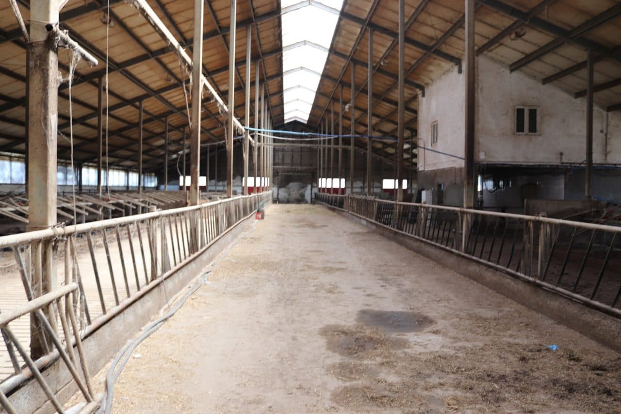 Zabudowana nieruchomość rolna położona w miejscowości: Emilianów, gmina Bielawy, działka nr 25, o pow. 2,45 ha, zapisana w Księdze Wieczystej Wydziału Ksiąg Wieczystych Sądu Rejonowego w Łowiczu pod nr KW LD1O/00006825/7 – zdjęcie 2 z 29