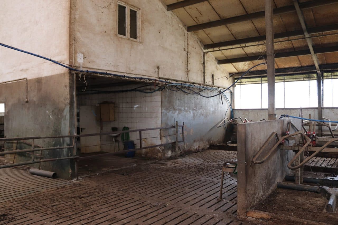 Zabudowana nieruchomość rolna położona w miejscowości: Emilianów, gmina Bielawy, działka nr 25, o pow. 2,45 ha, zapisana w Księdze Wieczystej Wydziału Ksiąg Wieczystych Sądu Rejonowego w Łowiczu pod nr KW LD1O/00006825/7 – zdjęcie 8 z 29