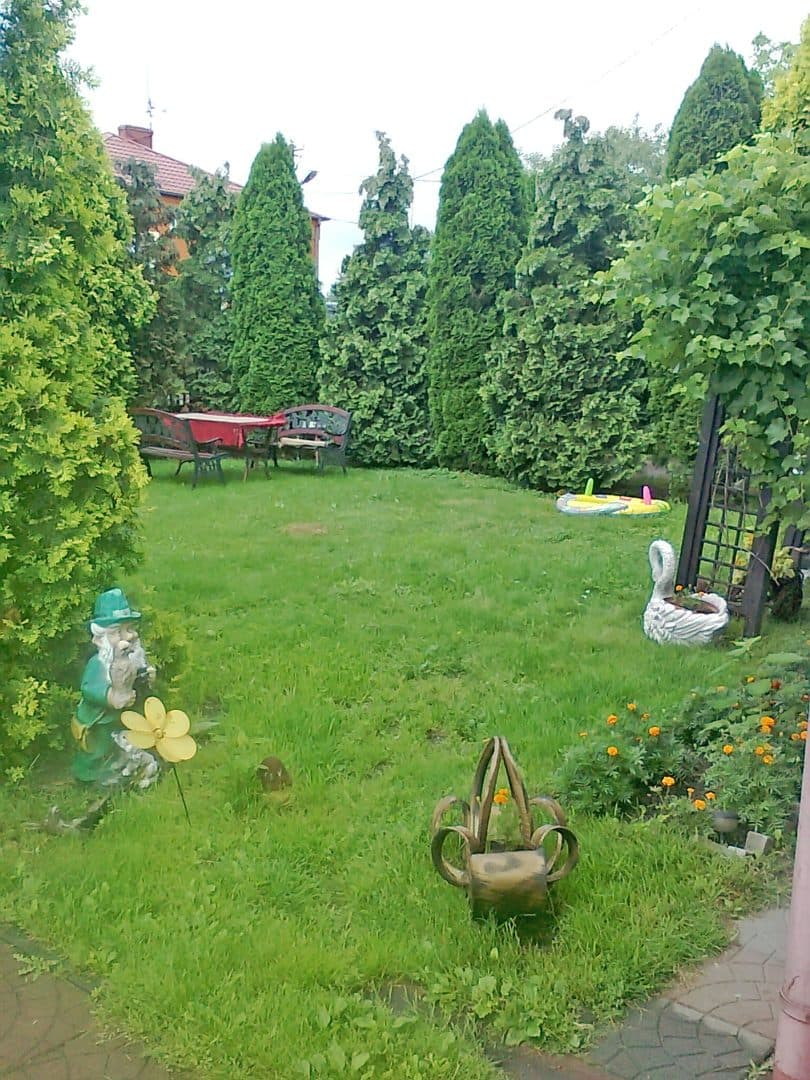 Nieruchomośc składająca sie z działki o nr ewid. 43 oraz 44. Połozona w miejscowości Podborek, gmina Rytwiany. – zdjęcie 6 z 8
