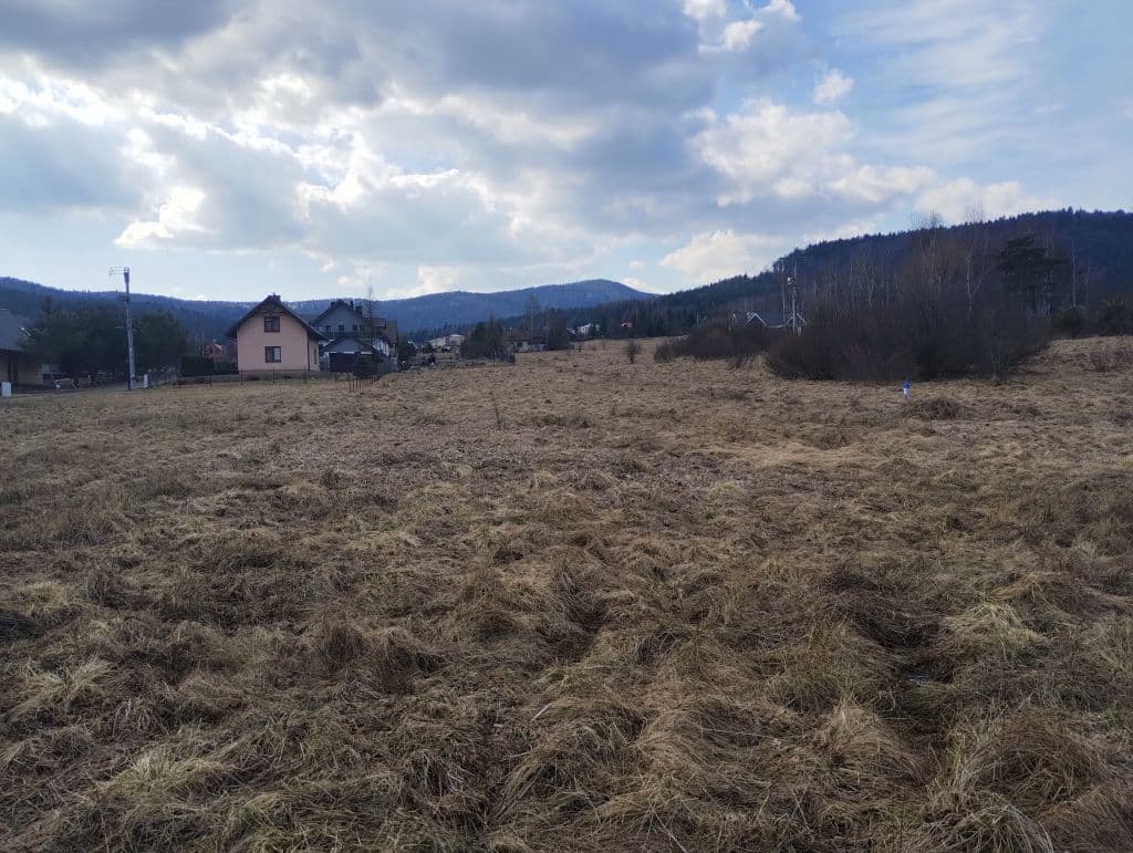 nieruchomość gruntowa działka ewid. nr 55/12 pow. 0,2360 ha położona w miejscowości Wysowa-Zdrój – zdjęcie 3 z 7