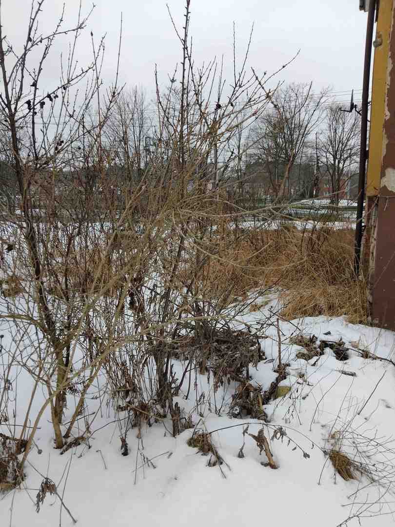 nieruchomość gruntowa – zdjęcie 13 z 24