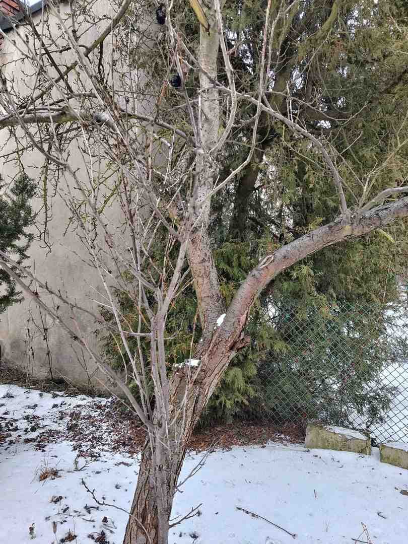nieruchomość gruntowa – zdjęcie 16 z 24
