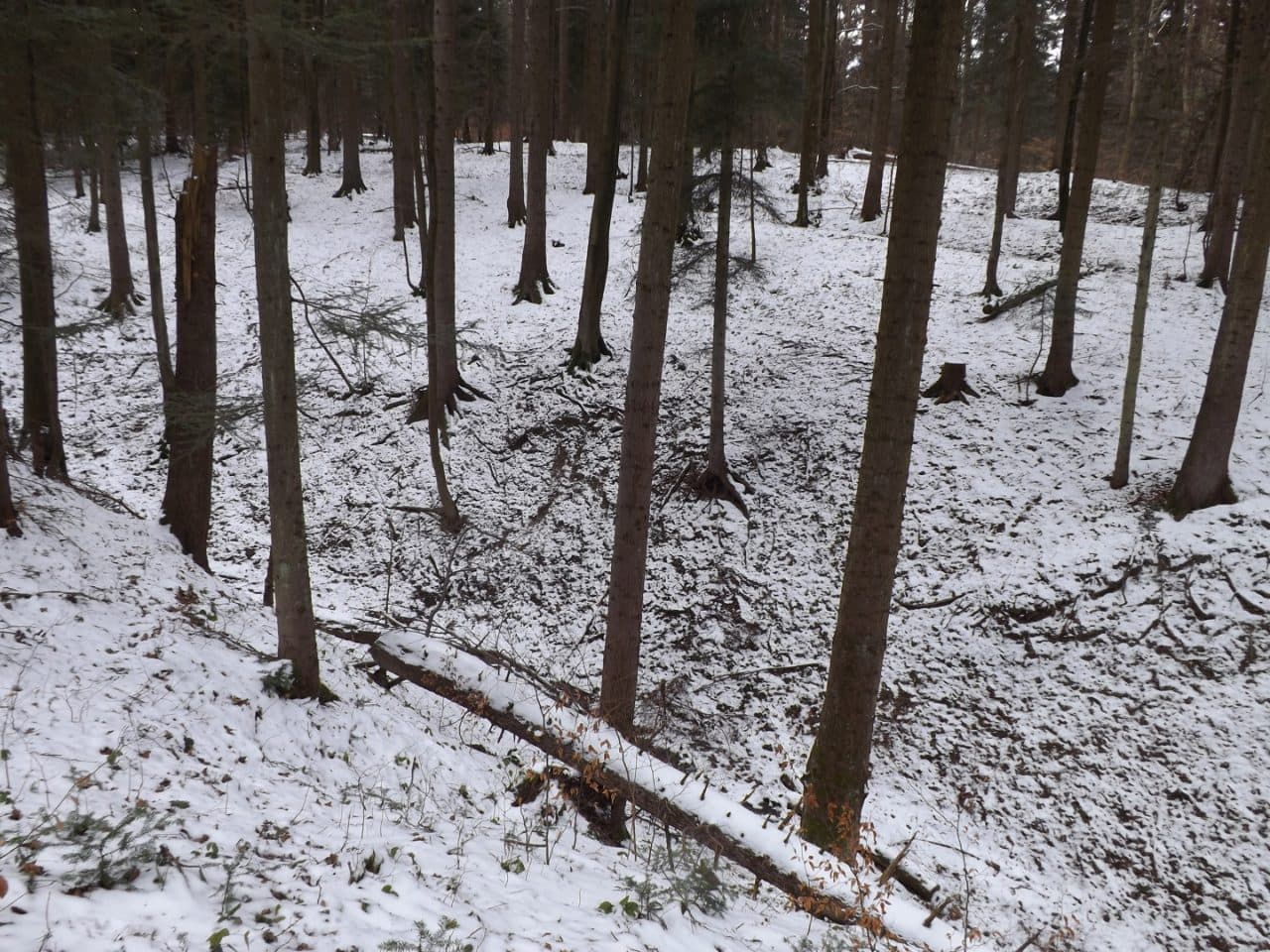 niewydzielny udział 27216360/1222348800 w lesie o całkowitej pow. 47,3306 ha – zdjęcie 3 z 3