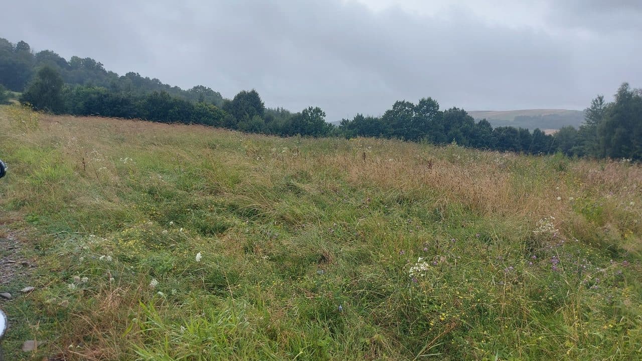 działka nr 434 o pow. 0,4289 ha, rola – zdjęcie 2 z 2
