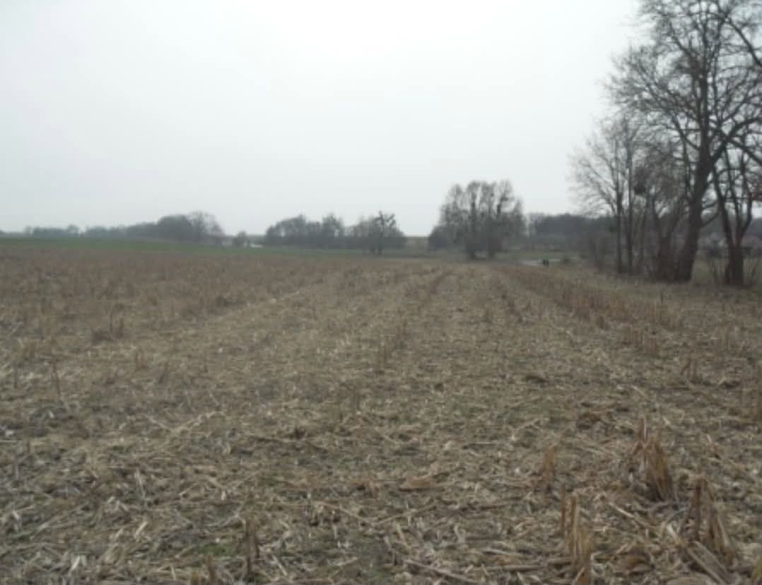 Działki nr 21/7, 51 oraz 95/4 - nieruchomości, o pow. łacznej 3,4900 ha, położonej w miejscowości: Nowy Klukom, KW Nr SZ1C/00030051/8.