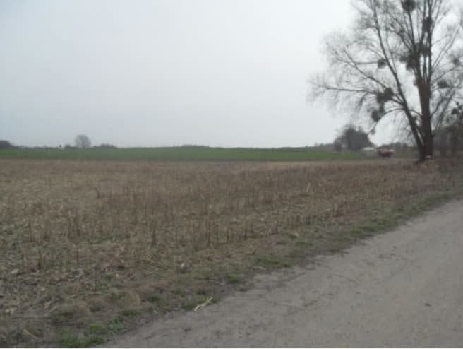 Działki nr 21/7, 51 oraz 95/4 - nieruchomości, o pow. łacznej 3,4900 ha, położonej w miejscowości: Nowy Klukom, KW Nr SZ1C/00030051/8. – zdjęcie 3 z 4