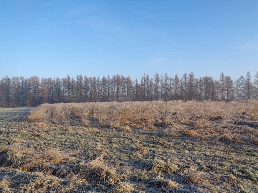 udział w wysokości 1/2 w nieruchomości gruntowej – zdjęcie 2 z 14