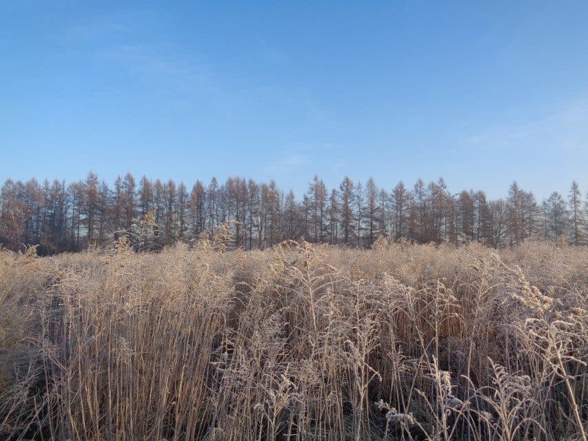 udział w wysokości 1/2 w nieruchomości gruntowej – zdjęcie 3 z 14