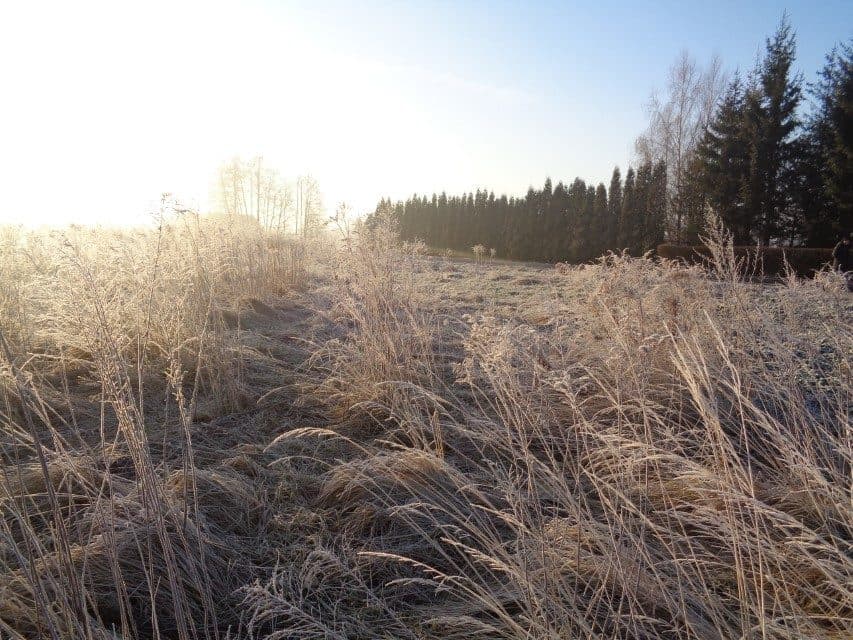 udział w wysokości 1/2 w nieruchomości gruntowej – zdjęcie 6 z 14