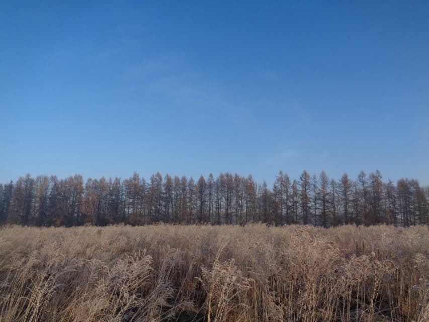 udział w wysokości 1/2 w nieruchomości gruntowej – zdjęcie 9 z 14