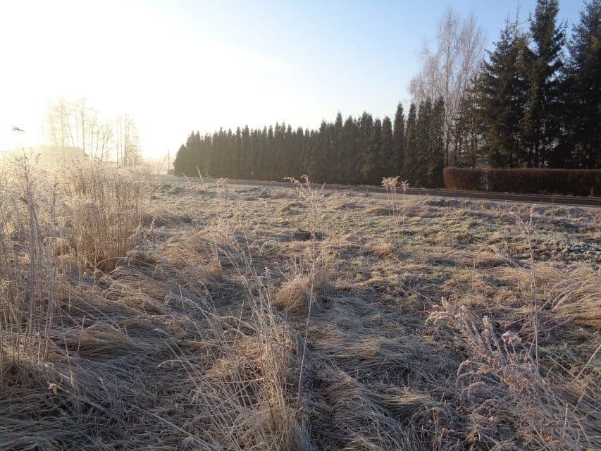 udział w wysokości 1/2 w nieruchomości gruntowej – zdjęcie 10 z 14