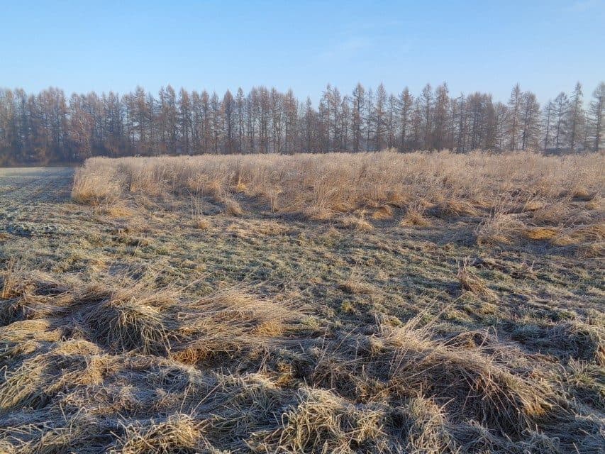 udział w wysokości 1/2 w nieruchomości gruntowej – zdjęcie 12 z 14