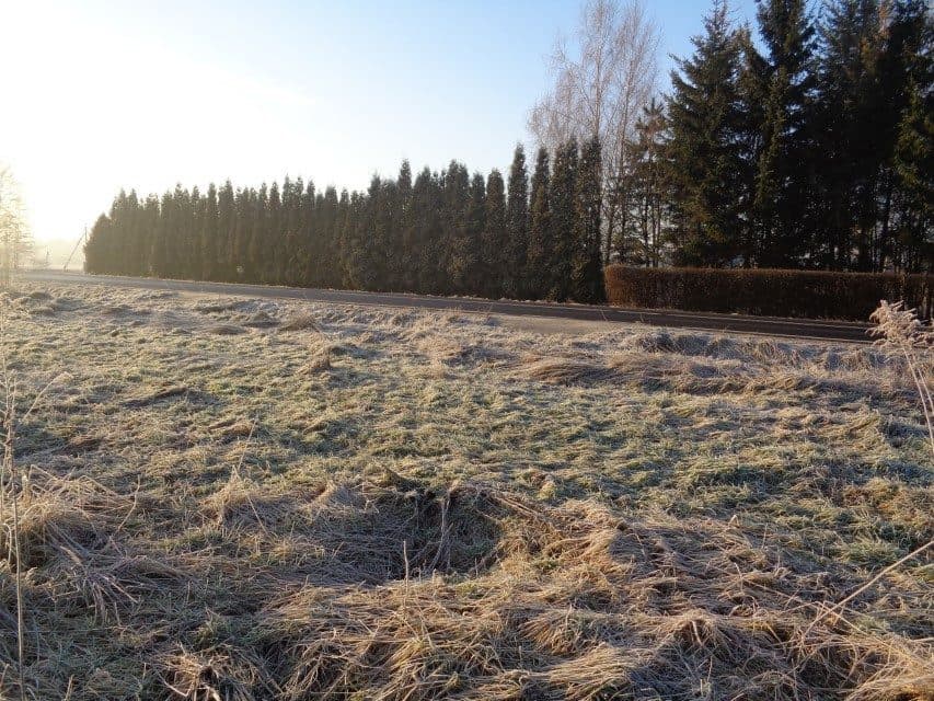 udział w wysokości 1/2 w nieruchomości gruntowej – zdjęcie 13 z 14