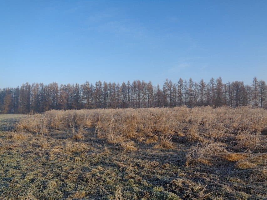 udział w wysokości 1/2 w nieruchomości gruntowej – zdjęcie 2 z 14