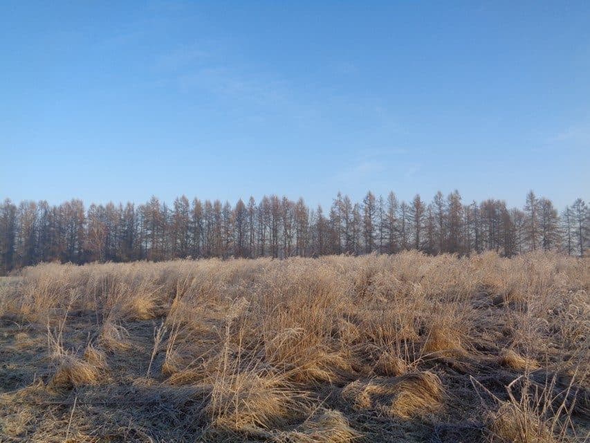 udział w wysokości 1/2 w nieruchomości gruntowej – zdjęcie 3 z 14
