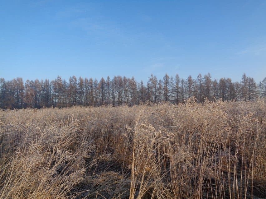udział w wysokości 1/2 w nieruchomości gruntowej – zdjęcie 6 z 14
