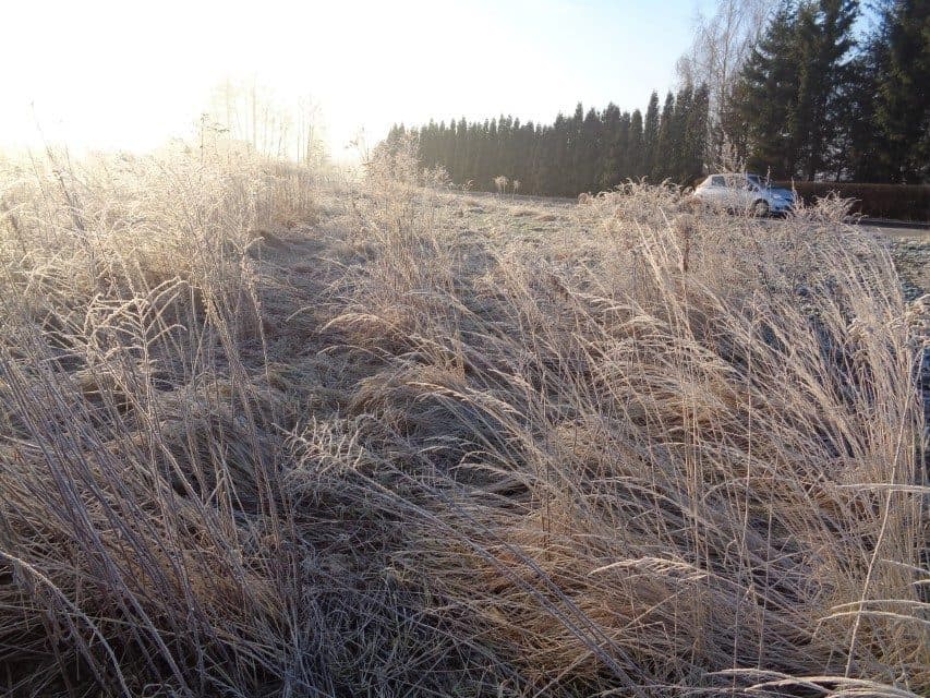 udział w wysokości 1/2 w nieruchomości gruntowej – zdjęcie 9 z 14