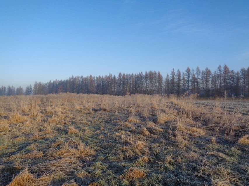 udział w wysokości 1/2 w nieruchomości gruntowej – zdjęcie 10 z 16