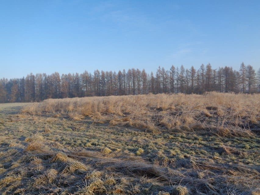 udział w wysokości 1/2 w nieruchomości gruntowej – zdjęcie 14 z 16