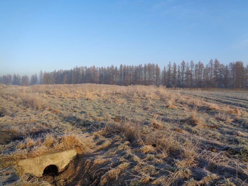 udział w wysokości 1/2 w nieruchomości gruntowej – zdjęcie 16 z 16